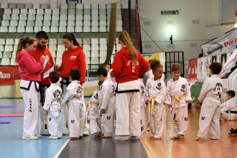 Taekwondo Dic 2016 (19).jpg